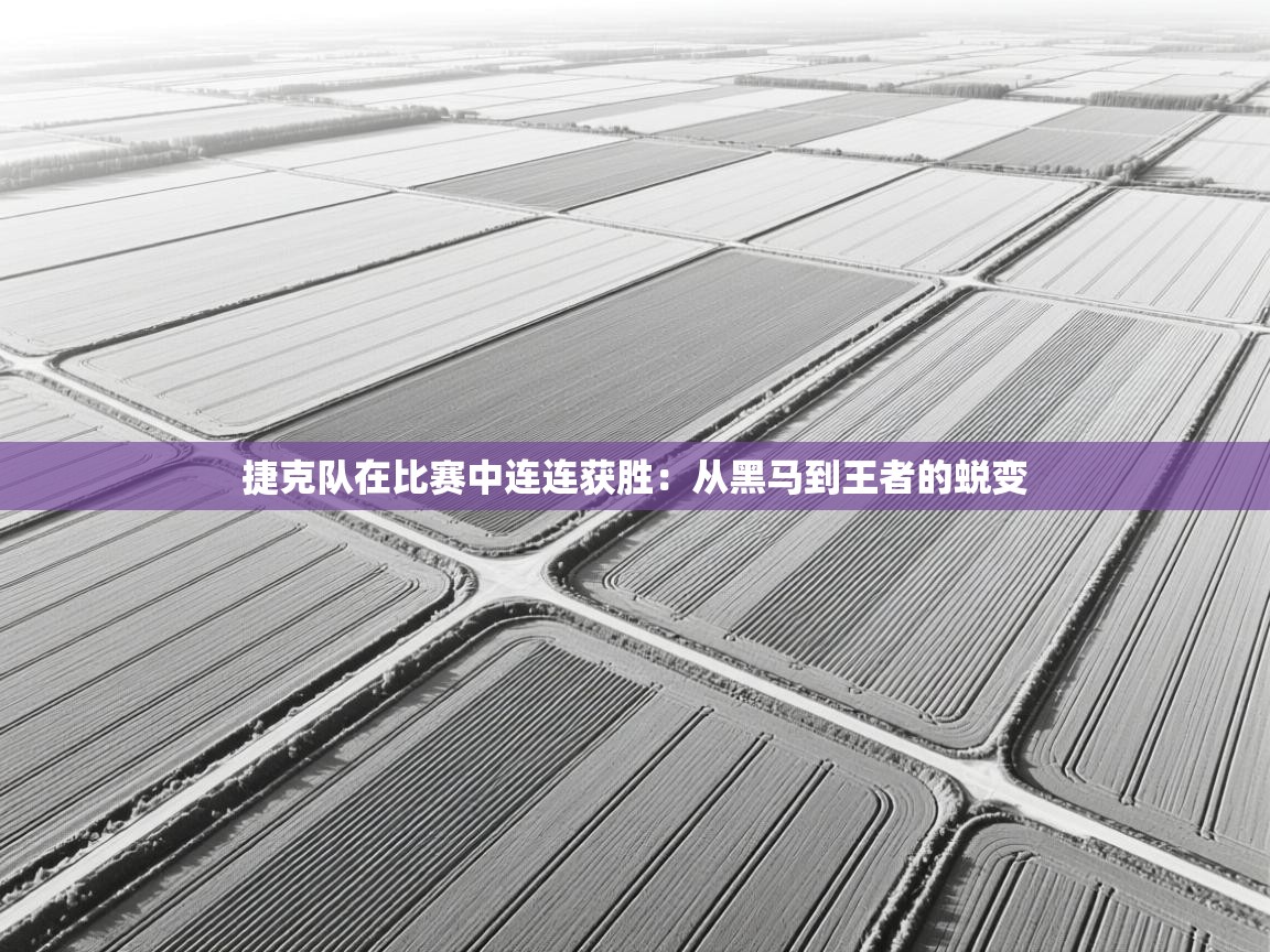 捷克队在比赛中连连获胜：从黑马到王者的蜕变  第1张