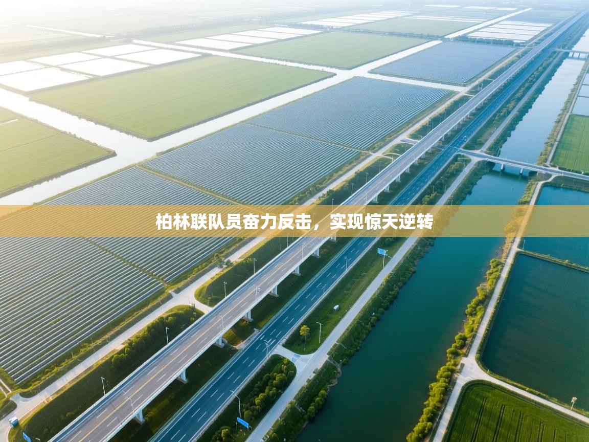 柏林联队员奋力反击，实现惊天逆转  第1张