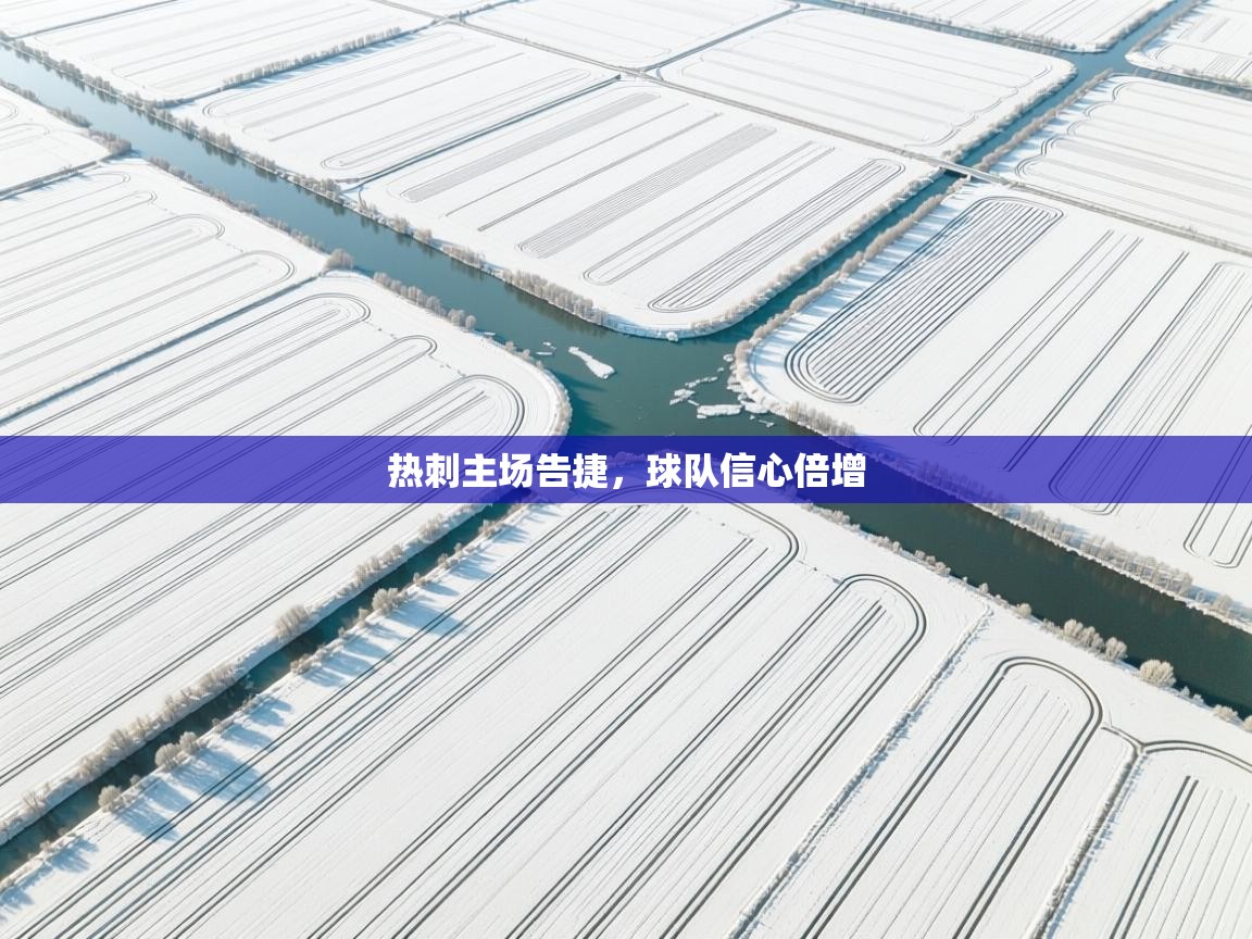 热刺主场告捷,球队信心倍增 第1张