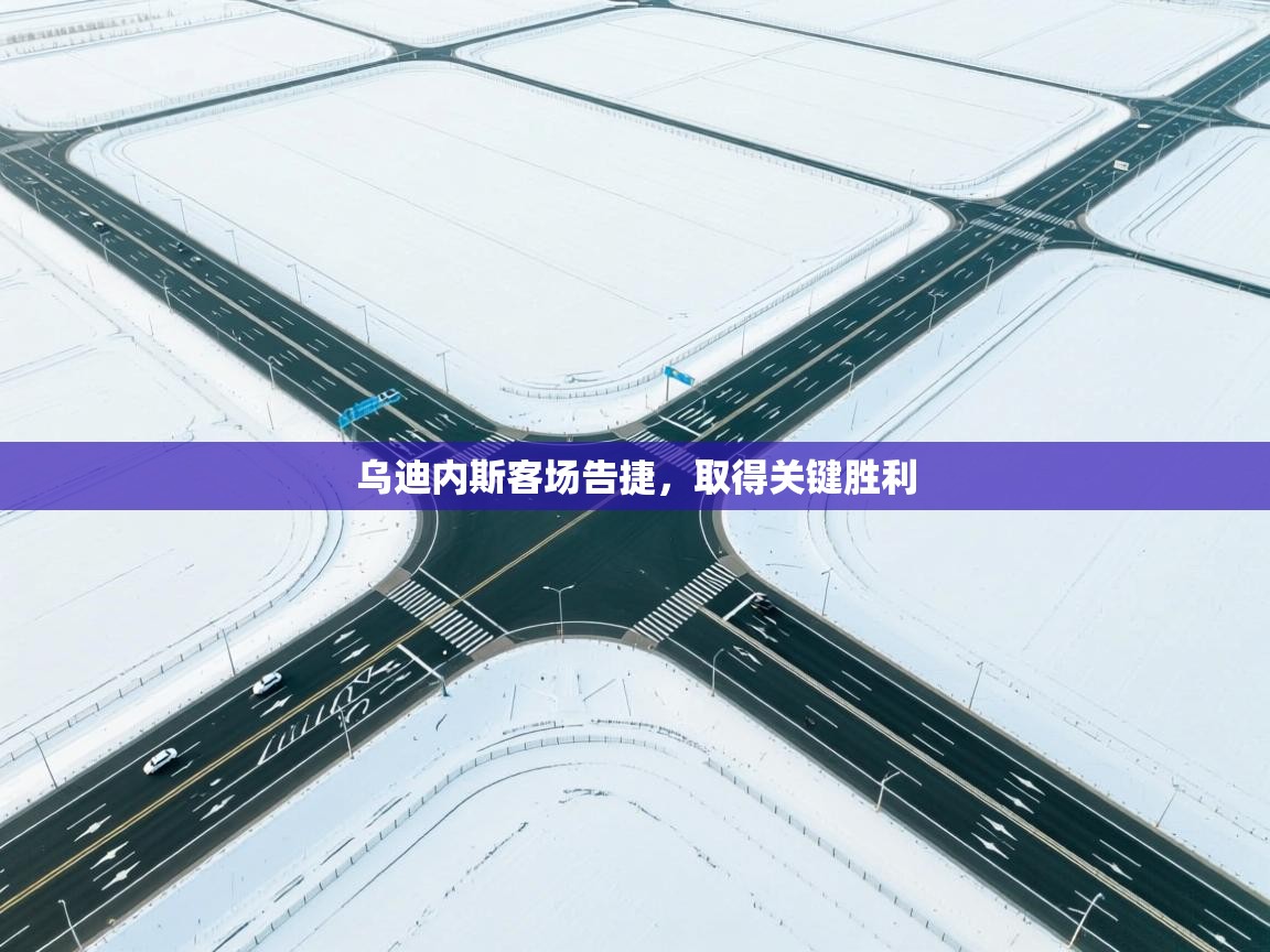 乌迪内斯客场告捷,取得关键胜利 第1张