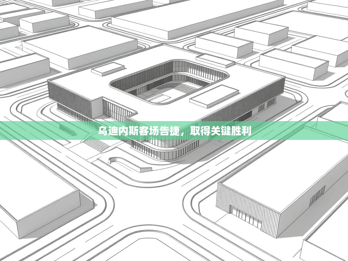 乌迪内斯客场告捷,取得关键胜利 第2张